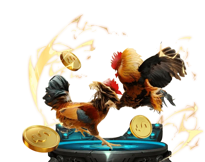 Người chơi nghiên cứu luật chơi và tỷ lệ cược trên máy tính